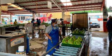 La economía creció en un 3% en el primer trimestre de 2025, según cifras del Banco Central