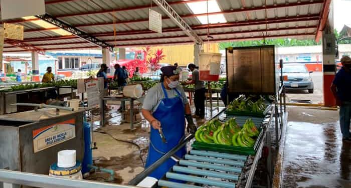 La economía creció en un 3% en el primer trimestre de 2025, según cifras del Banco Central