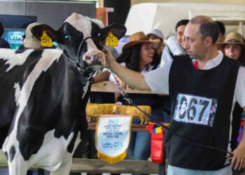 Todo listo para la feria “Expo Feria Ganadera Nuestra Señora de El Cisne