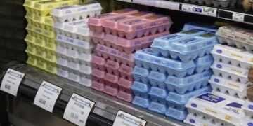 En EE.UU. retiran 1.7 millones de docenas de huevo del mercado por alerta de salmonella