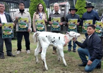 Feria Agropecuaria en Biblián expondrá el mejoramiento genético de los animales