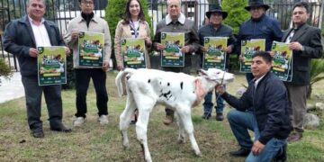 Feria Agropecuaria en Biblián expondrá el mejoramiento genético de los animales