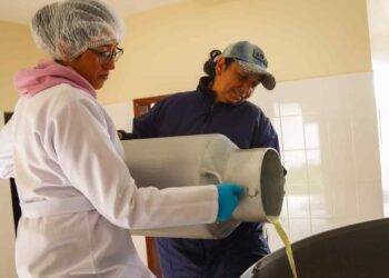 ¿Cuáles con las competencias del Consejo Nacional de la Leche?