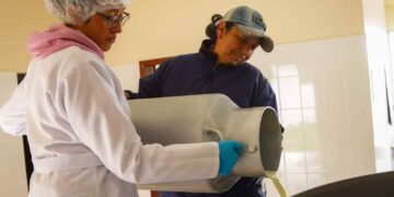 ¿Cuáles con las competencias del Consejo Nacional de la Leche?