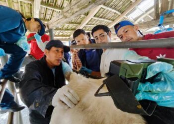 FAO Ecuador y MAG clausuran curso de ecografía veterinaria en bovinos para productores de Pichincha