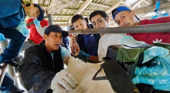 FAO Ecuador y MAG clausuran curso de ecografía veterinaria en bovinos para productores de Pichincha