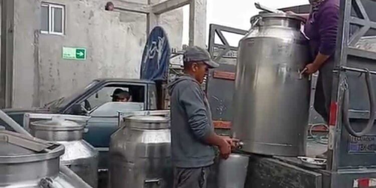 Denuncian  que industriales no respetan el precio oficial para la compra de la leche