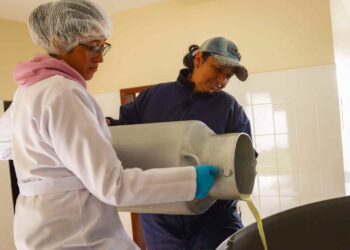 El MAG ejecutó 86 operativos para controlar el precio de la leche en 10 provincias de la sierra