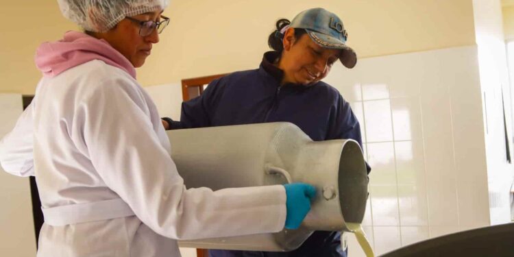 El MAG ejecutó 86 operativos para controlar el precio de la leche en 10 provincias de la sierra