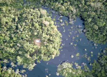 Organizaciones amazónicas consideran que la Ley de las Áreas Protegidas es regresiva y  contradice la Constitución