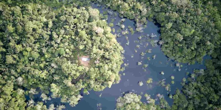 Organizaciones amazónicas consideran que la Ley de las Áreas Protegidas es regresiva y  contradice la Constitución