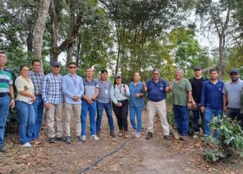 Técnicos del MAG fortalecen capacidades y homologan conocimientos en el cultivo de café