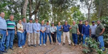 Técnicos del MAG fortalecen capacidades y homologan conocimientos en el cultivo de café