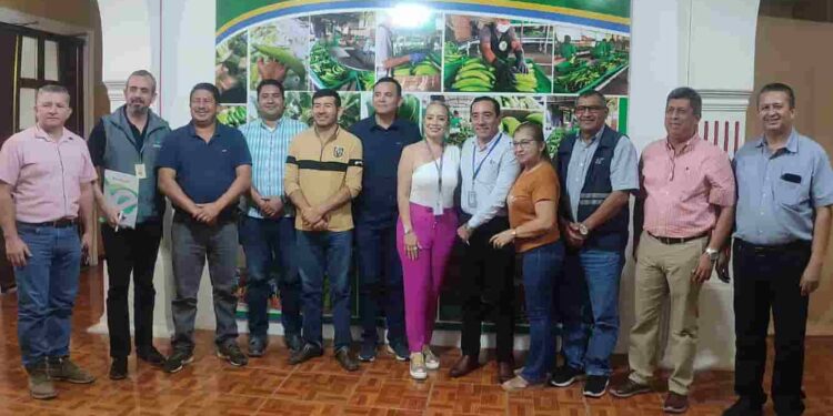BanEcuador, MAG  y municipio de El Carmen unen esfuerzos para afrontar plaga del Moko que afecta a productores de plátano