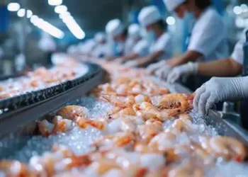 Designan a la Primera Dama, Lavinia Valbonesi,  como “Embajadora del Camarón”