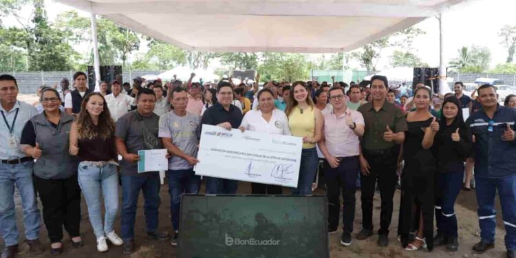Productores de cacao fino de aroma reciben impulso financiero del IEPS y BANECUADOR  