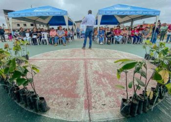 50.000 plantas de cacao entregó la prefectura del Guayas a pequeños productores de Naranjal