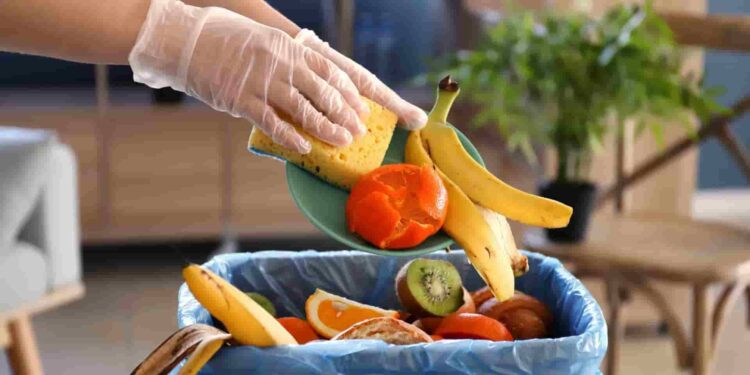 Día Internacional de Concienciación sobre la Pérdida y el Desperdicio de Alimentos