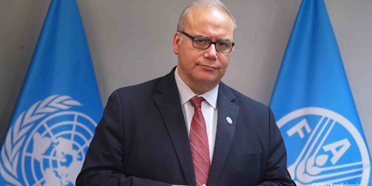 Inflación alimentaria: reto clave para sostener los logros de América Latina y el Caribe