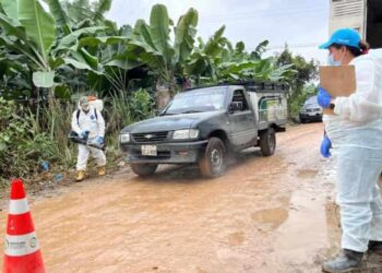 Ministro de Agricultura confirma presencia del hongo Fusarium Raza 4 Tropical en El Oro,  mientras Agrocalidad aún espera resultados de análisis