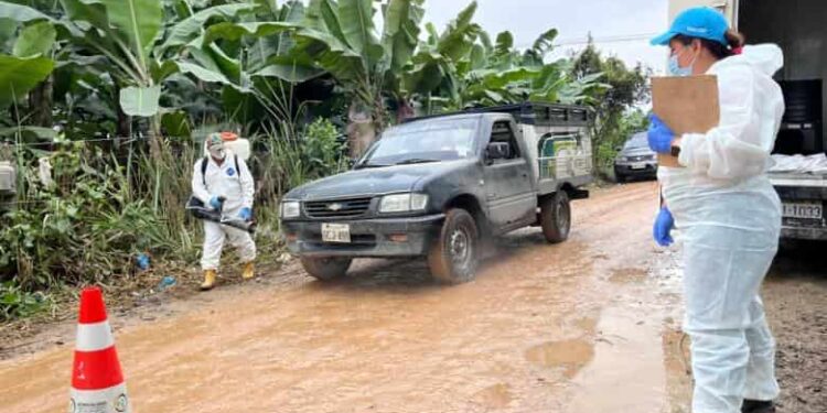 Ministro de Agricultura confirma presencia del hongo Fusarium Raza 4 Tropical en El Oro, mientras Agrocalidad aún espera resultados de análisis