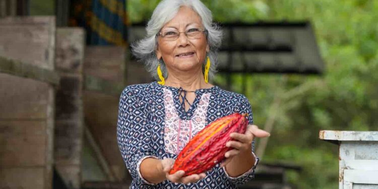 Registrarán a 100.000 productores de cacao y café para exportaciones libres de deforestación a la Unión Europea