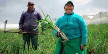 A través de BanEcuador 70 mil productores recibieron el bono “RAÍCES”, asegura el gobierno