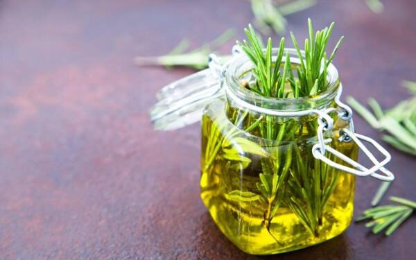 La hierba aromática que mejora la memoria, cuida al cerebro y se consigue en todo lado