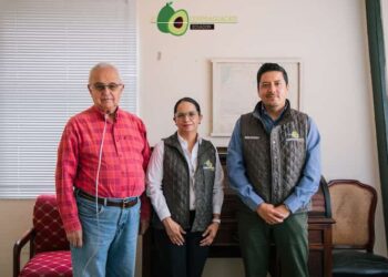 Hito histórico: partió a Rusia el primer embarque de aguacate orgánico ecuatoriano