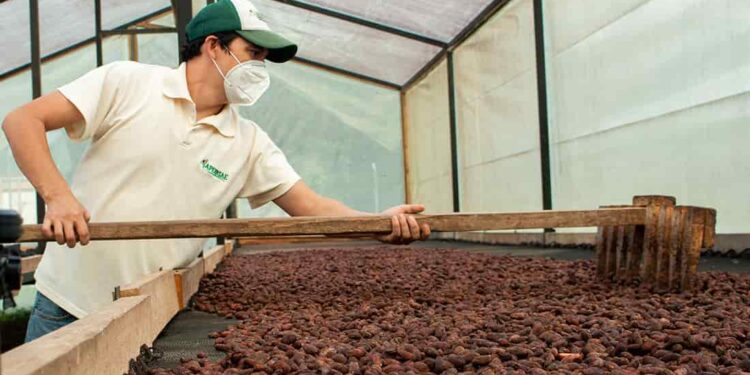 Ecuador inicia negociaciones con la Unión Europea para promover inversiones sostenibles