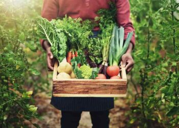 Día del Agricultor Ecuatoriano: innovación y sostenibilidad para el futuro del campo