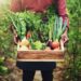 Día del Agricultor Ecuatoriano: innovación y sostenibilidad para el futuro del campo