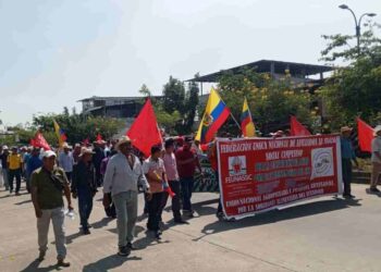 Productores arroceros denuncian a los comerciantes por no respetar el precio mínimo de sustentación del arroz