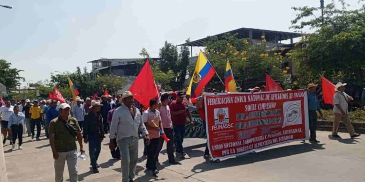 Productores arroceros denuncian a los comerciantes por no respetar el precio mínimo de sustentación del arroz