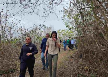 Gobierno declara más de 129 hectáreas como nuevo Bosque y Vegetación Protector en Manabí