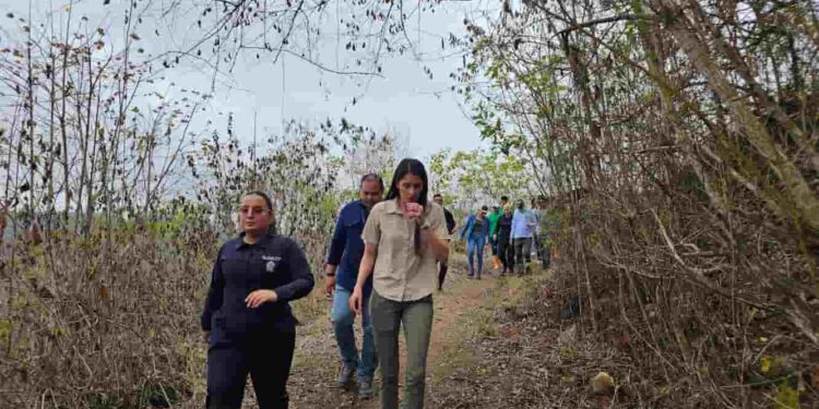 Gobierno declara más de 129 hectáreas como nuevo Bosque y Vegetación Protector en Manabí