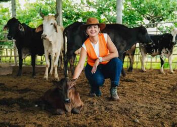 Programa de mejoramiento genético para impulsar al Guayas como potencia ganadera del Ecuador