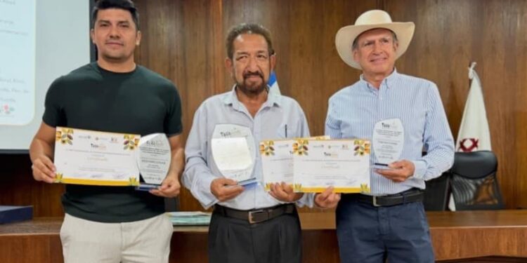 Otra vez: Café lojano triunfa en concurso la Taza Dorada 2025