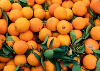 Científicos convierten residuos de naranja en hidrógeno y amoníaco