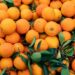Científicos convierten residuos de naranja en hidrógeno y amoníaco