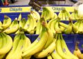 Crean nueva asociación de empresas para fortalecer el mercado del banano en Norteamérica