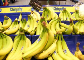 Crean nueva asociación de empresas para fortalecer el mercado del banano en Norteamérica