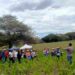 En Loja: Día de campo para uso adecuado de semilla de maíz certificado