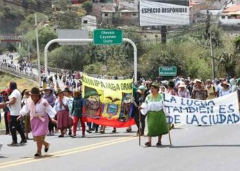 Ganaderos de la Sierra y el Oriente preocupados por pérdidas que generan las paralizaciones