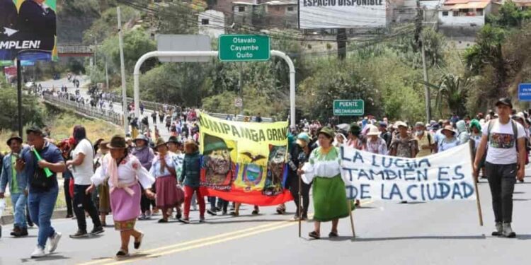 Ganaderos de la Sierra y el Oriente preocupados por pérdidas que generan las paralizaciones