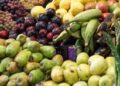 Disminuye el índice mundial de precios de alimentos, según la FAO
