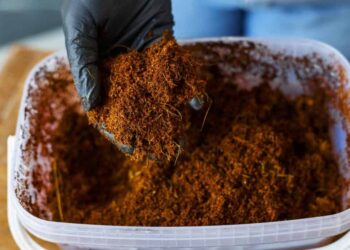 Fertilizantes orgánicos fortalecen estructura del suelo y aumentan la vida microbiana