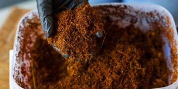 Fertilizantes orgánicos fortalecen estructura del suelo y aumentan la vida microbiana