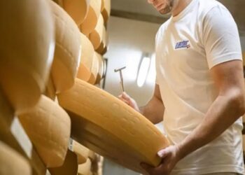EL MEJOR QUESO DEL MUNDO SE HACE EN SUIZA: LECHE CRUDA Y 12 MESES DE PACIENCIA