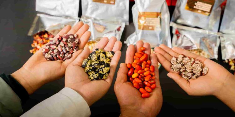 Gestión del Gobierno posiciona a Ecuador con uno de los más grandes bancos de diversidad agrícola de América Latina